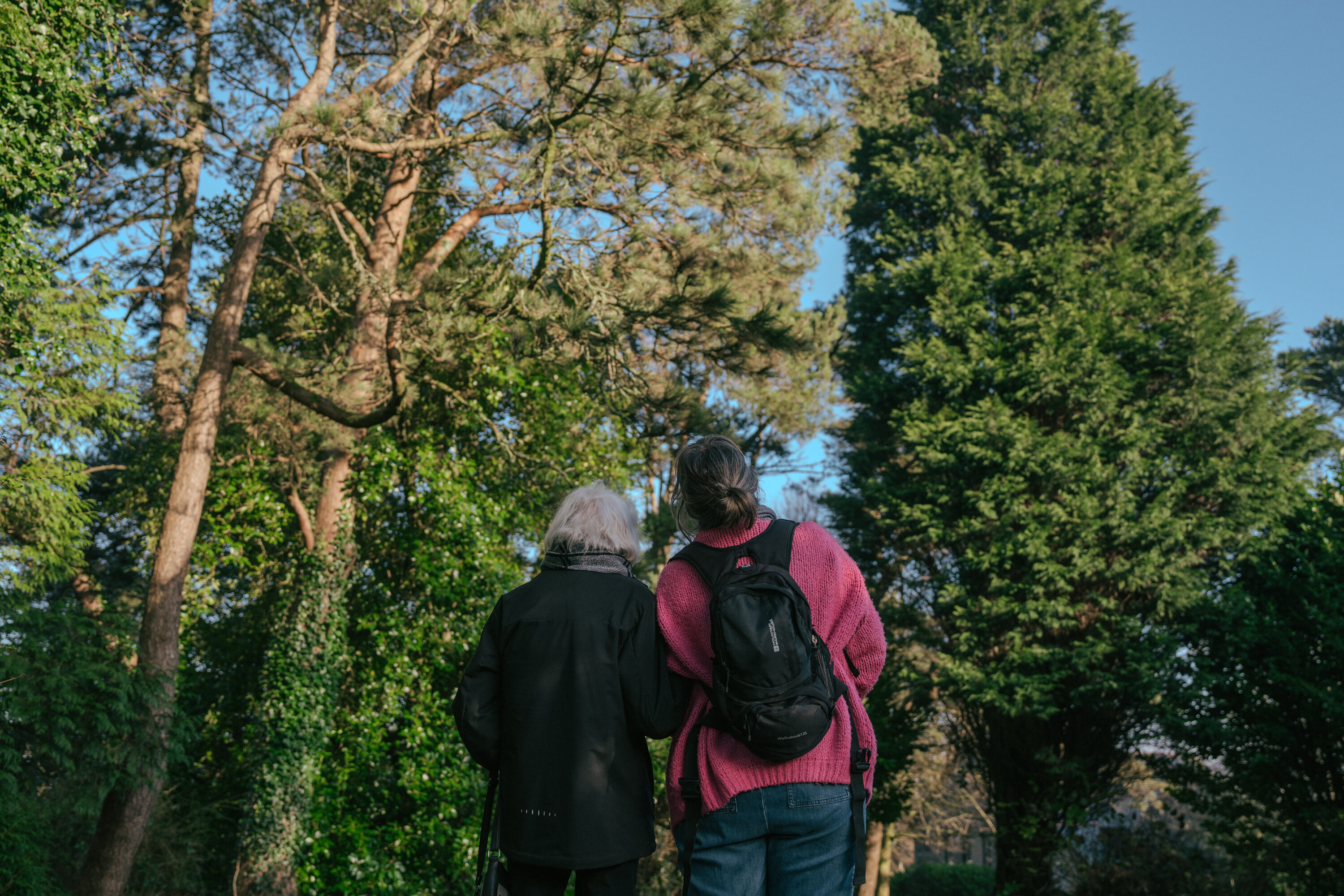 Two people stand side by side looking up at some tall trees