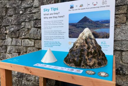 Two tactile models of clat tips sit on top of a table with some words and images behind them