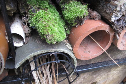 Bug hotel made from clay pipes on their side