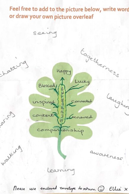 A leaf with words on as a response to an evaluation question