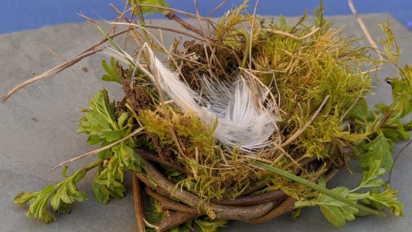 making a birds nest activity sensory trust