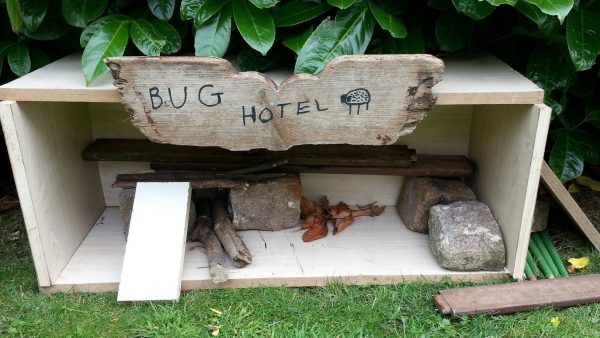 bug hotel