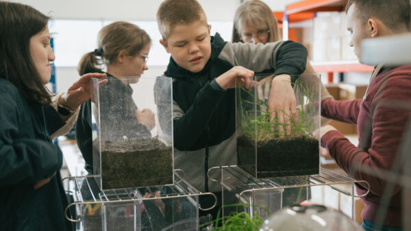 A small group of blind and partially sighted students explore two plastic tanks with their hands, one with bare soil and one with grass.