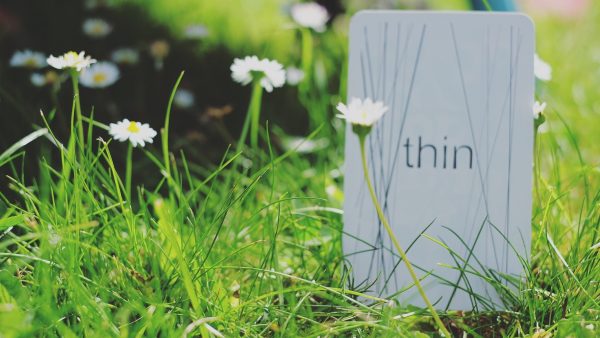 The thin card from Sensory Trust's gofindit game