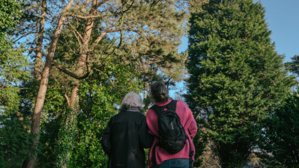 Two people stand side by side looking up at some tall trees