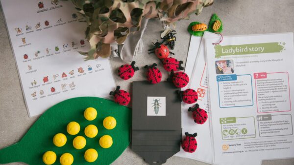 various components of a ladybird activity and story