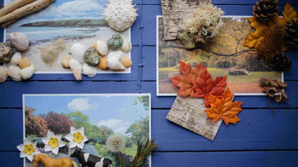 Matching landscapes activity