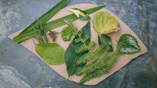 home made nature palette activity