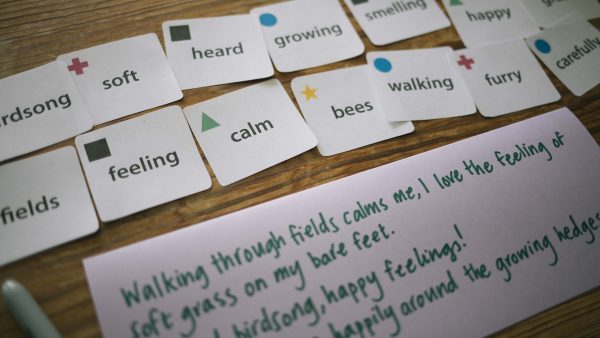 Nature poetry game in use