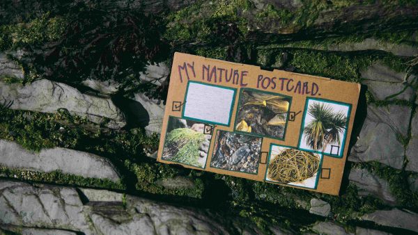 A nature postcard carries pictures of nature