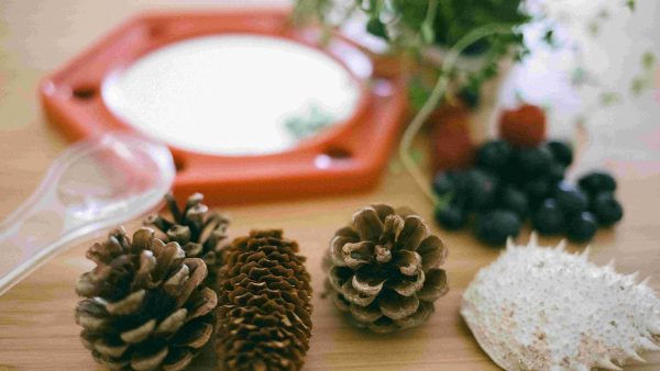 a collection of natural objects with sensory properties