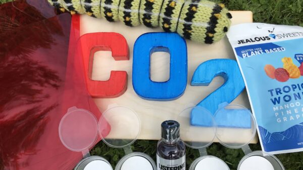 components of a sensory story about trees