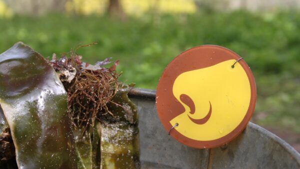 Part of a sensory trail with a symbol of a nose next to some seaweed