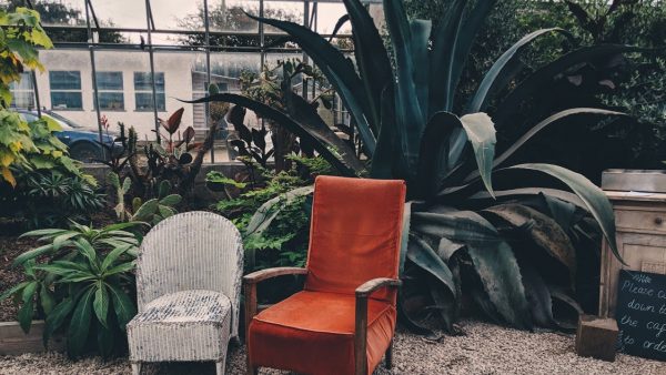 Two old armchairs at the Potager garden in Cornwall