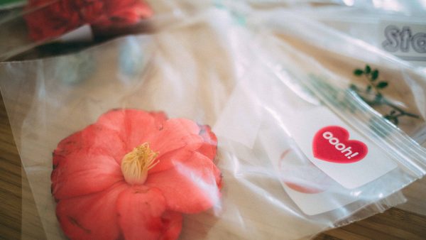 Bag with a pink flower and a label saying oooh!