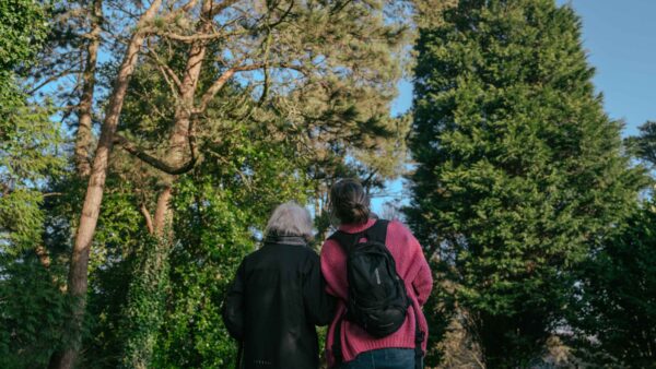 Two people have their back to the camera and are looking up at some tall trees