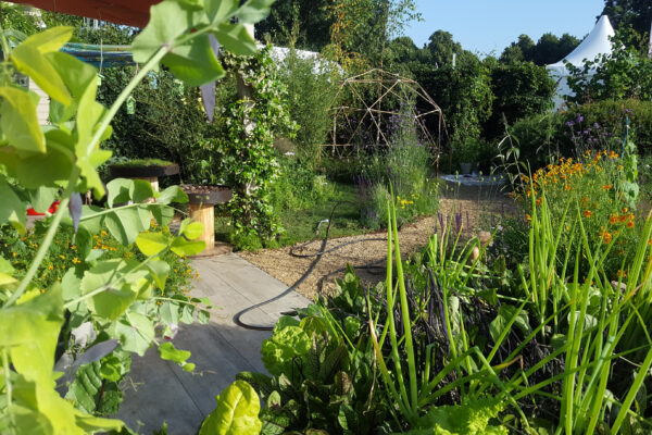 View of a garden with foliage in the foreground