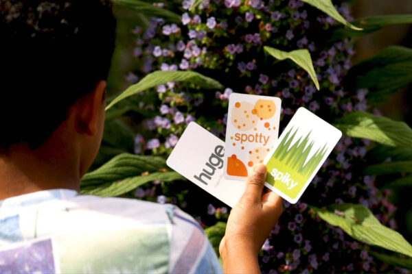 Child with back to the camera holds three gofindit cards against a purple flower. The cards read huge, spotty and spiky