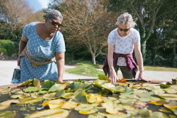 Two ladies look at and touch lily pads on a raised pond