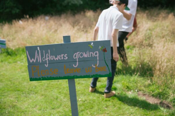 A hand painted sign says Wildflowers growing leave us bee. This is outdoors. child in the background
