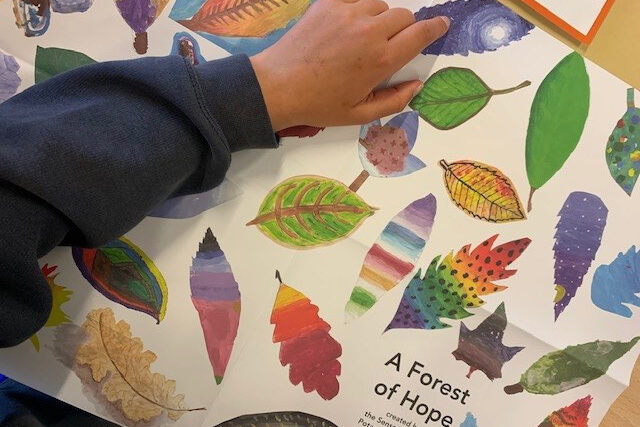 School child points to an image of a leaf on a poster