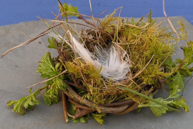 making a birds nest activity sensory trust