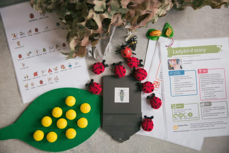 various components of a ladybird activity and story