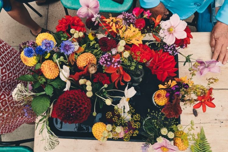 A colourful collection of flowers