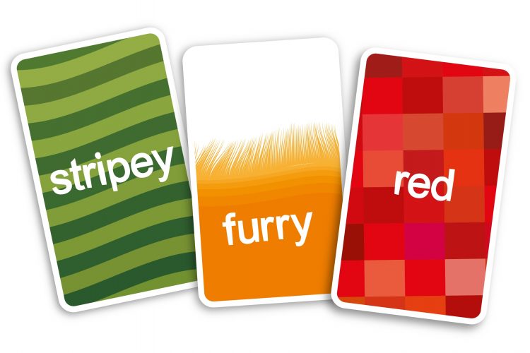Cards from Sensory Trust's gofindit game