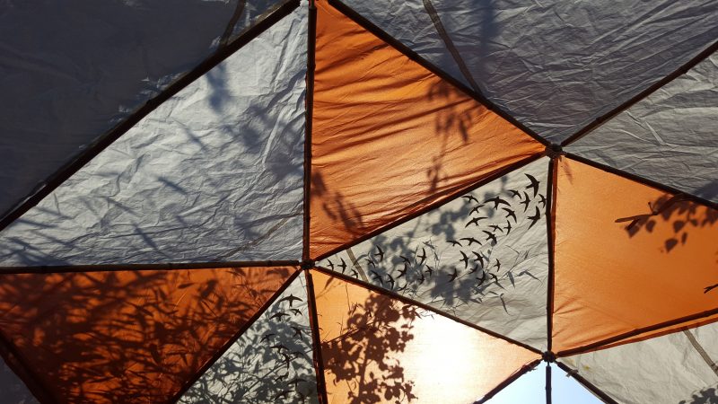 Nature shade patterns on the canopy of a sensory nature dome