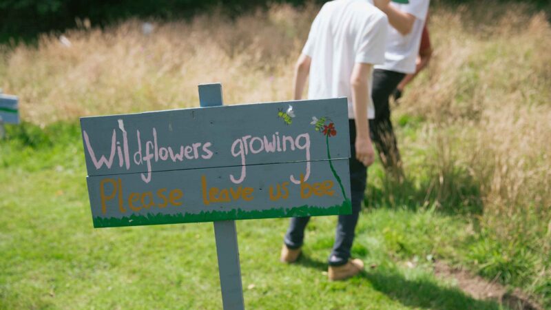 A hand painted sign says Wildflowers growing leave us bee. This is outdoors. child in the background
