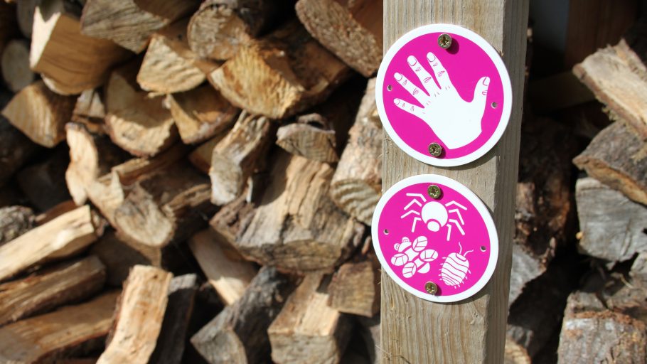 Pink trail markers depicting a hand and some bugs screwed to a piece of wood with logs behind them