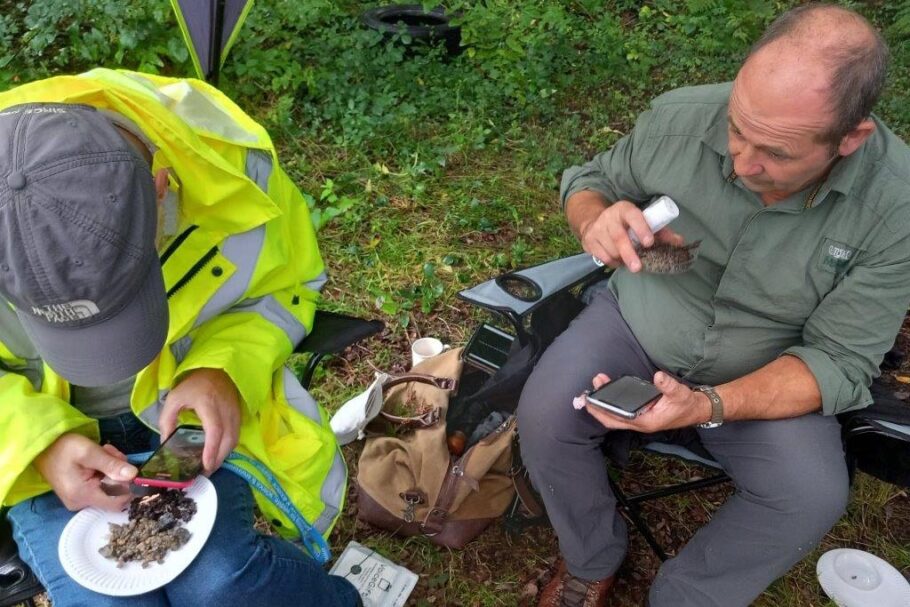 Two people sit on chairs outdoors studying nature through their phones