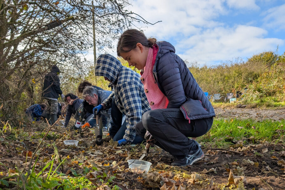 People planting wildflowers into a bare patch