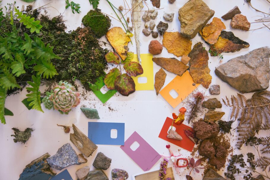 Colour cards in the middle of a white background with coloured objects from nature around them