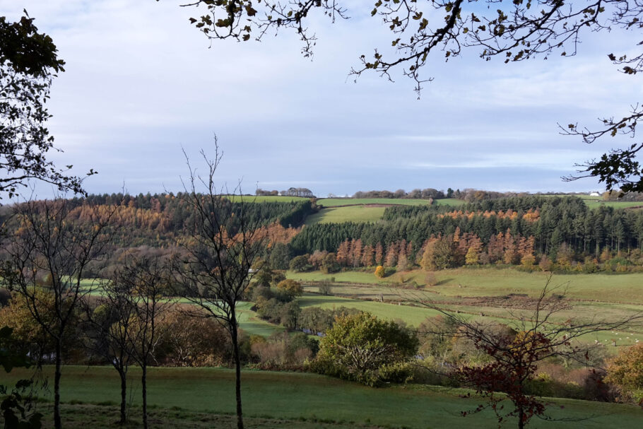 View of hills and trees with sky above