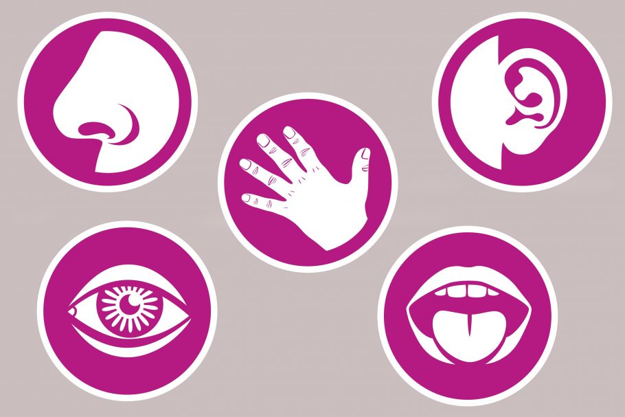 symbols representing the five senses