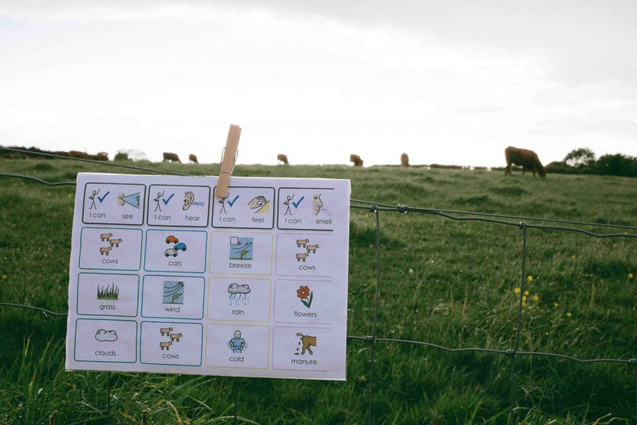 A Widgit sensory mapping sheet pinned on a fence