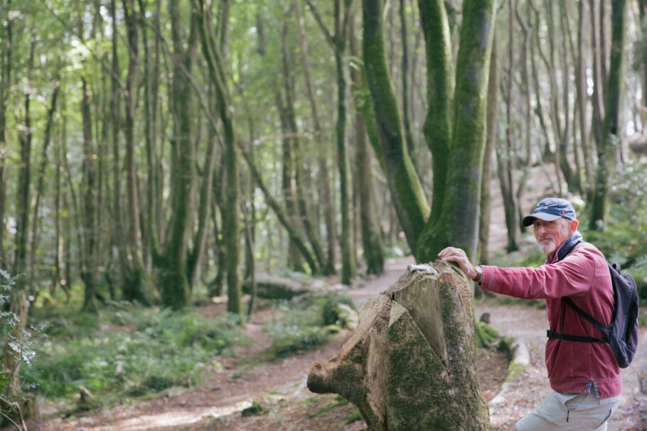 A man in a cap and wearing an outdoor rucksack stands in the woods leaning on a boulder