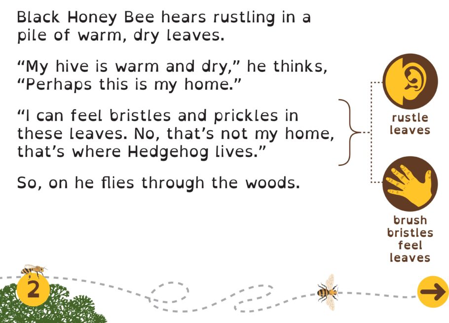 Example text from a sensory trail with story