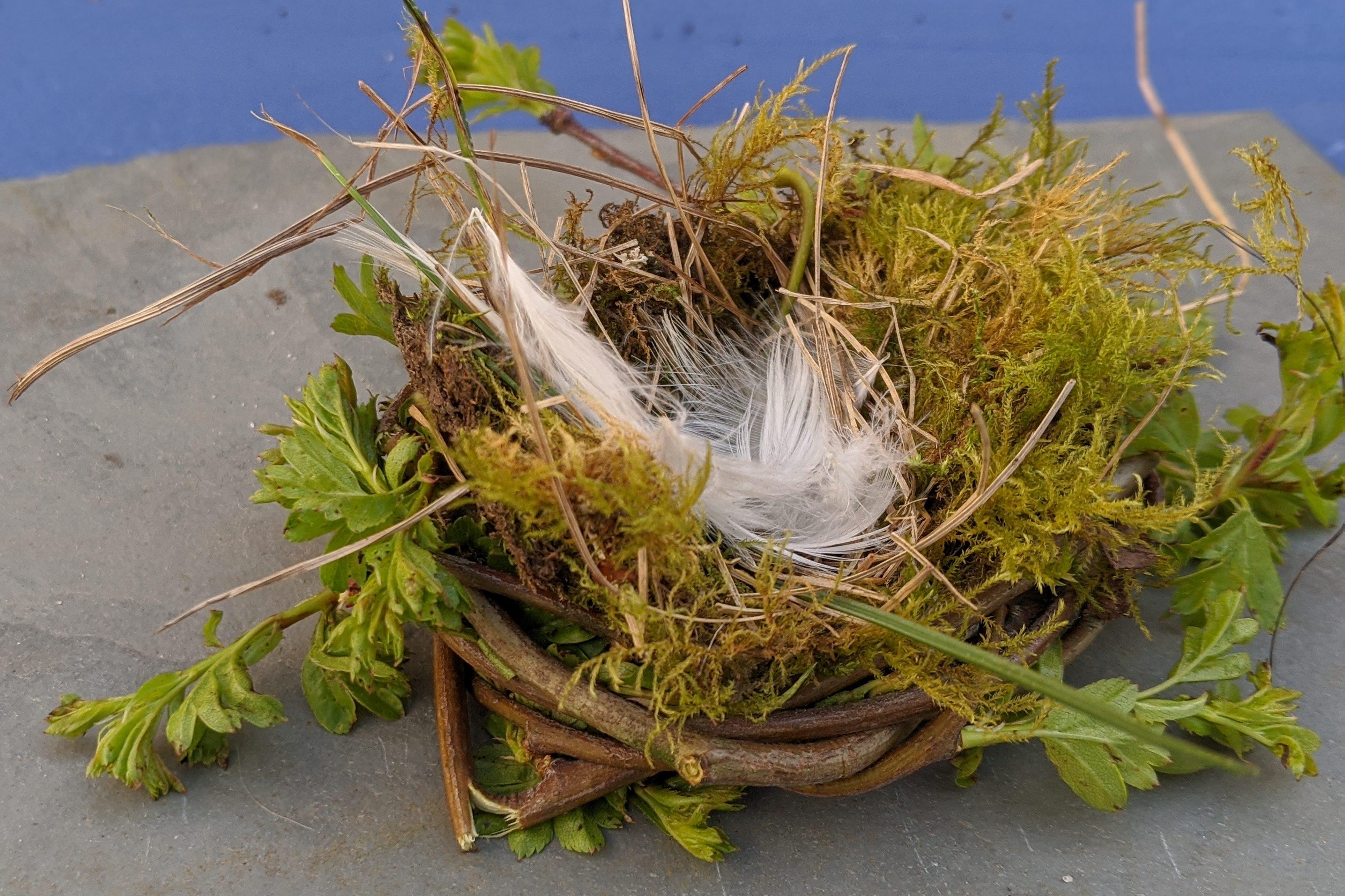 Making bird nests - Sensory Trust