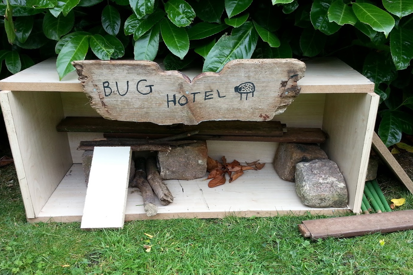 When are Bugs Most Active in Hotels? 2 When are Bugs Most Active in Hotels?